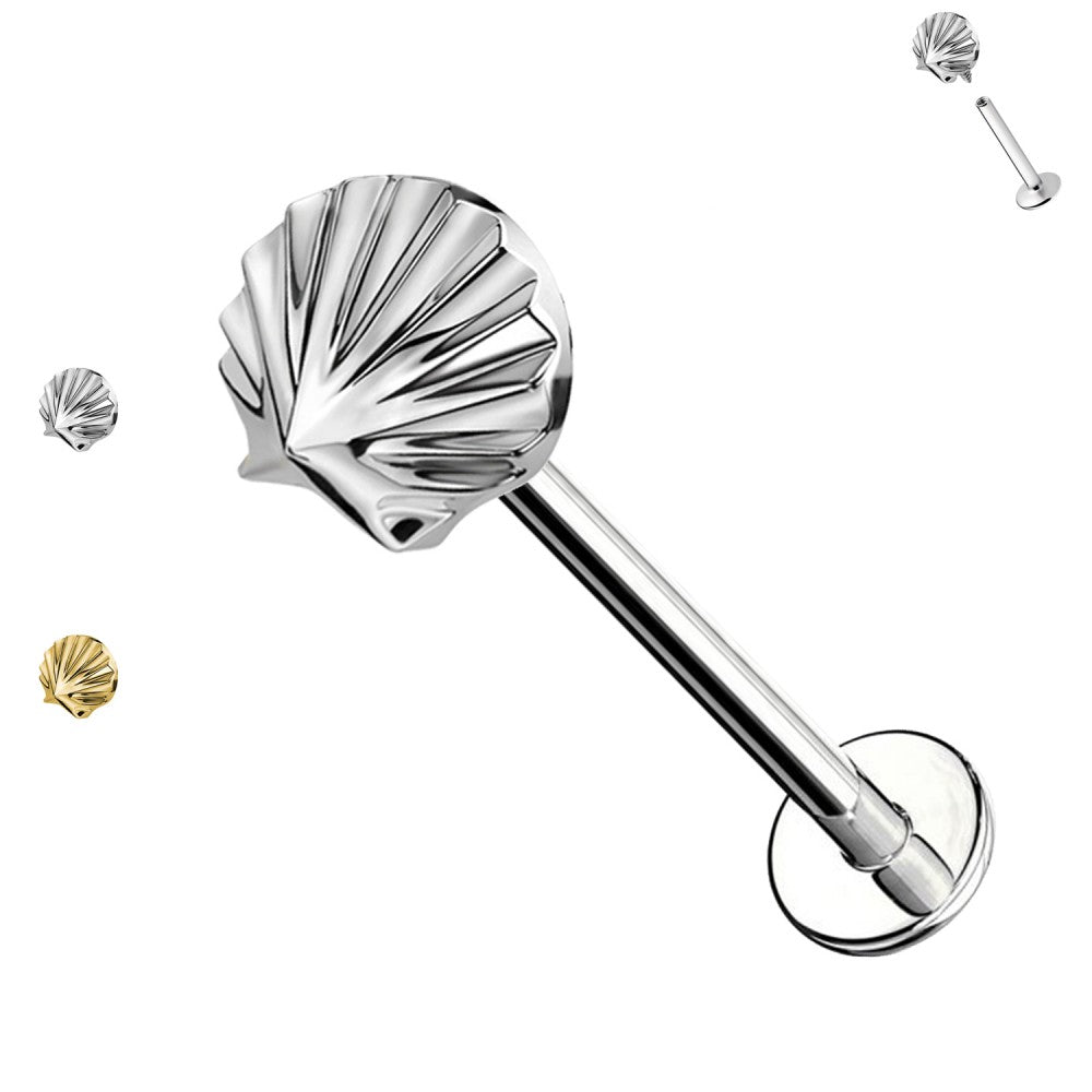 Labret-Piercing-Ohr-Sea-shell