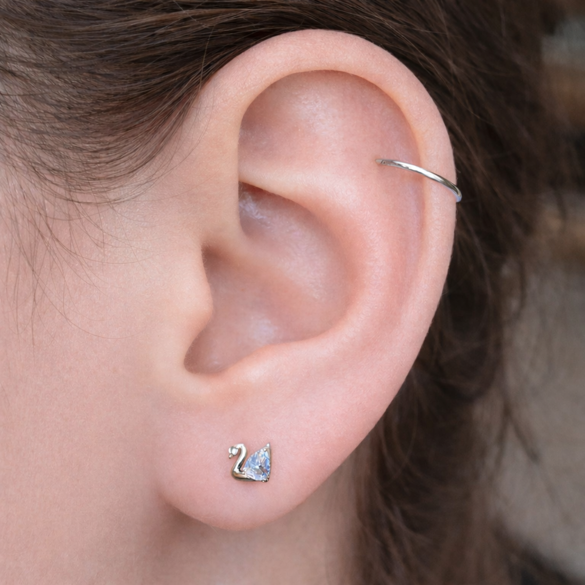 Labret-Piercing-Schwan-2