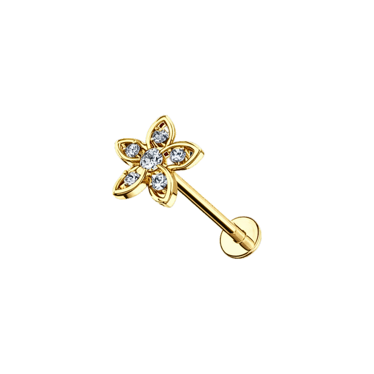 Labret-Piercing-Sternblume-1.5