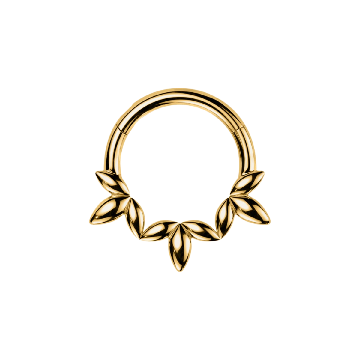 Segment-clicker-piercing-Avelis-3