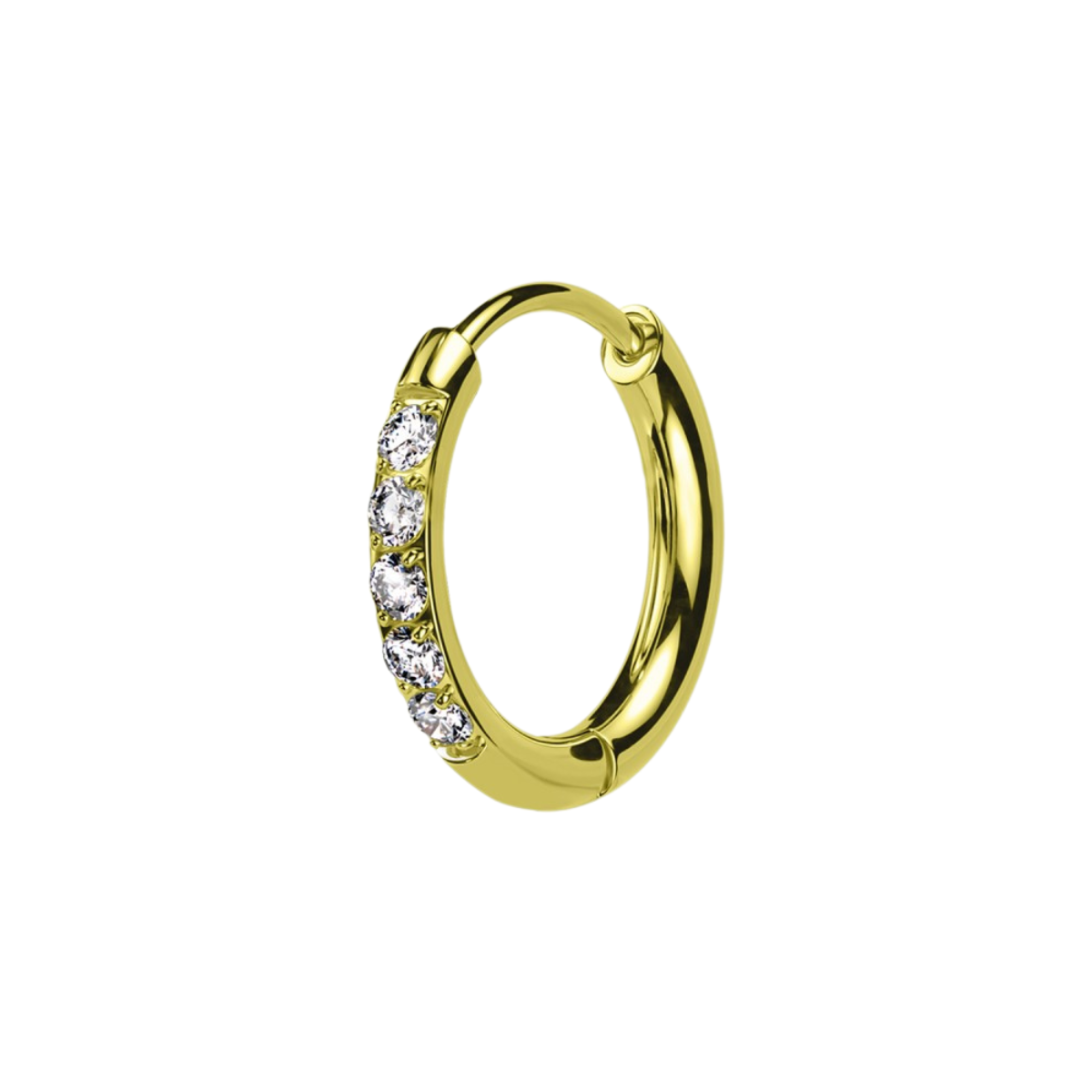 Segment-ing-clicker-ohr-maelis-3