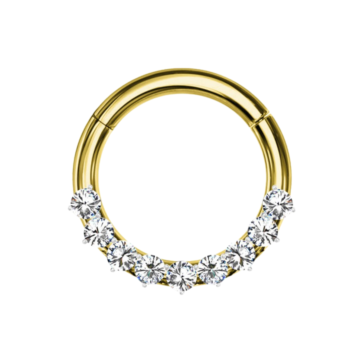 Segmentring-clicker-ring-piercing-alina-3