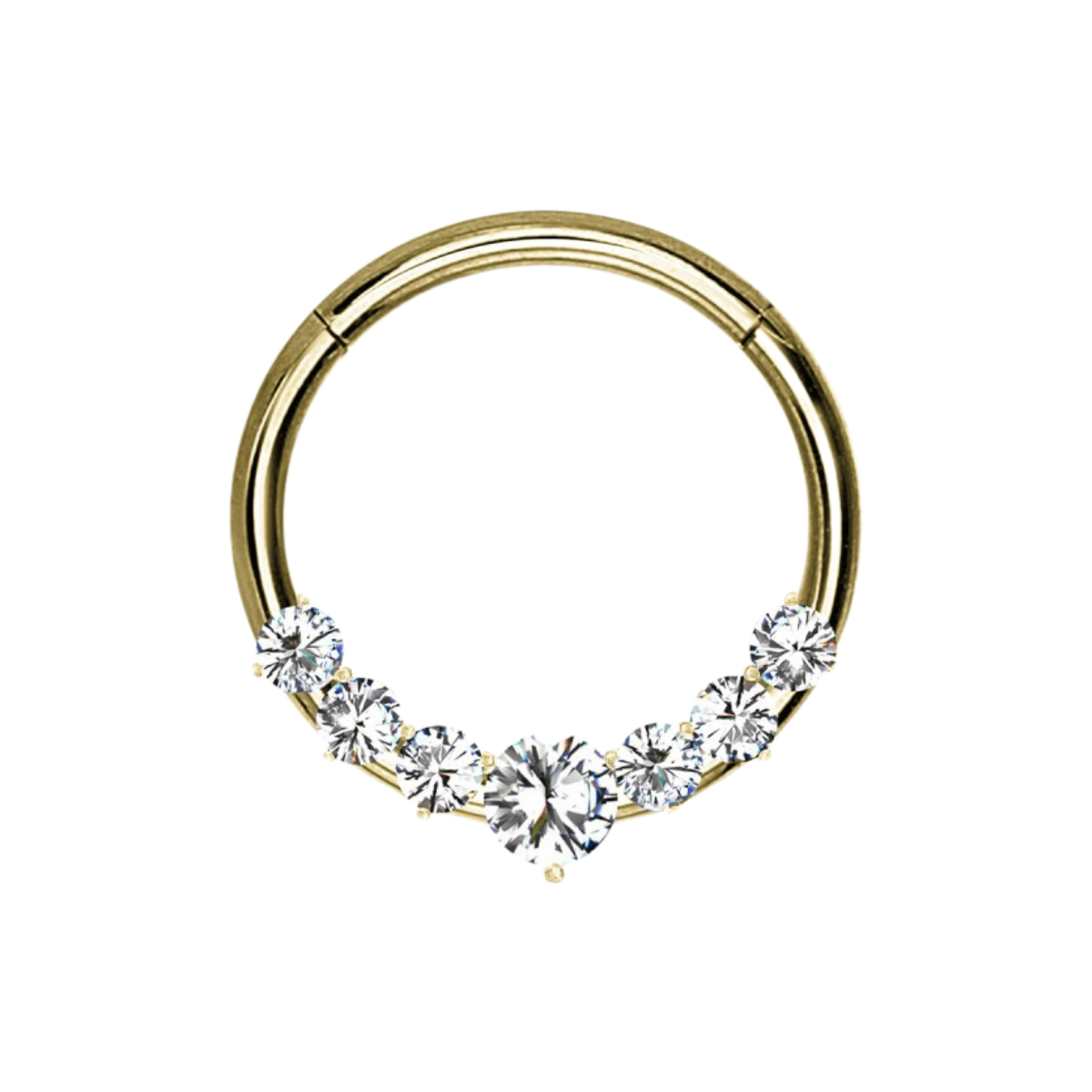 Segmentring-clicker-ring-piercing-noemi-3