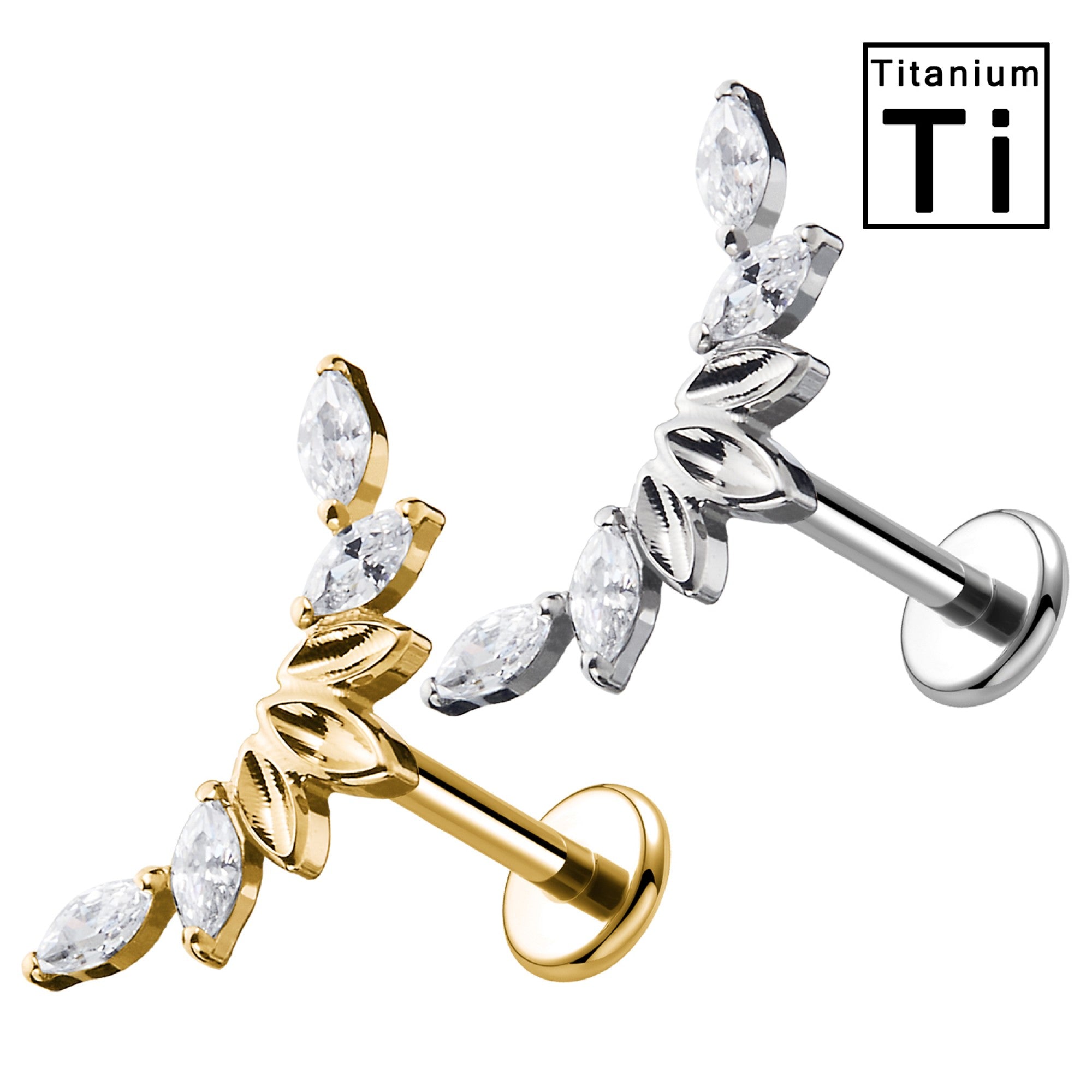 Titan-Labret-Piercing-Blaetterbogen-2