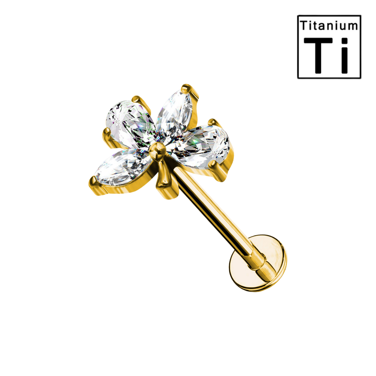Titan-Labret-Piercing-Blatt-1.3