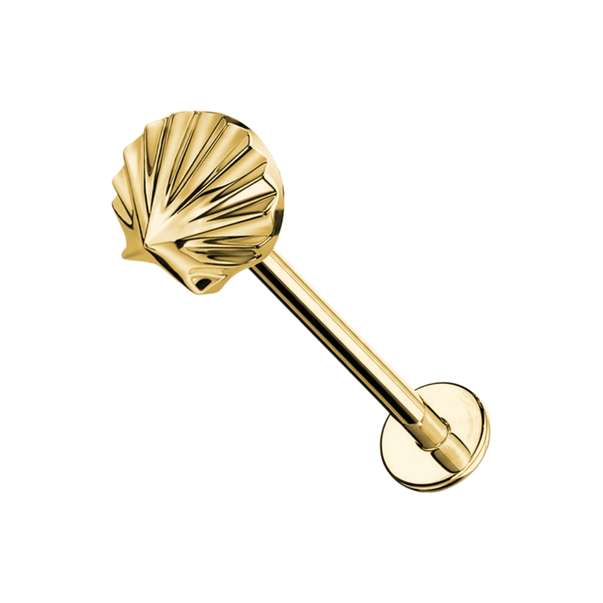 Labret-Piercing-Ohr-Sea-shell-1.3