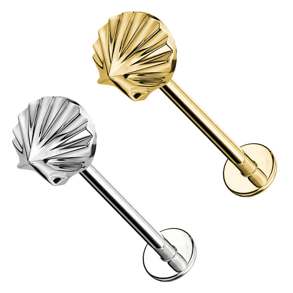 Labret-Piercing-Ohr-Sea-shell-1