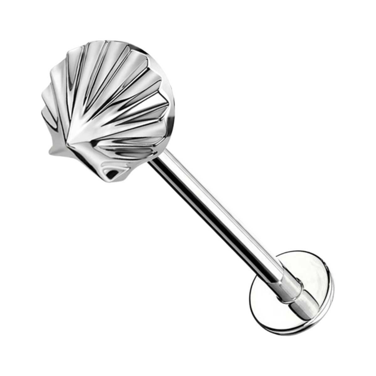 Labret-Piercing-Ohr-Sea-shell-4
