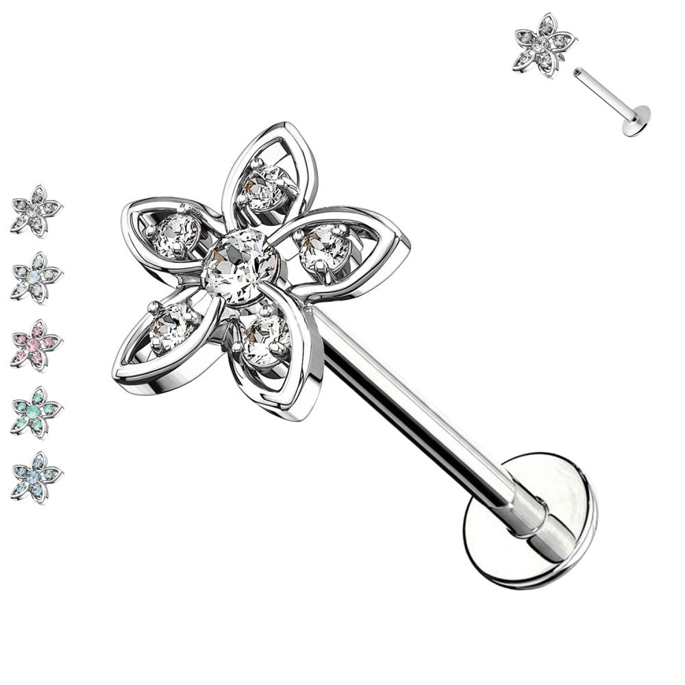 Labret-Piercing-Sternblume
