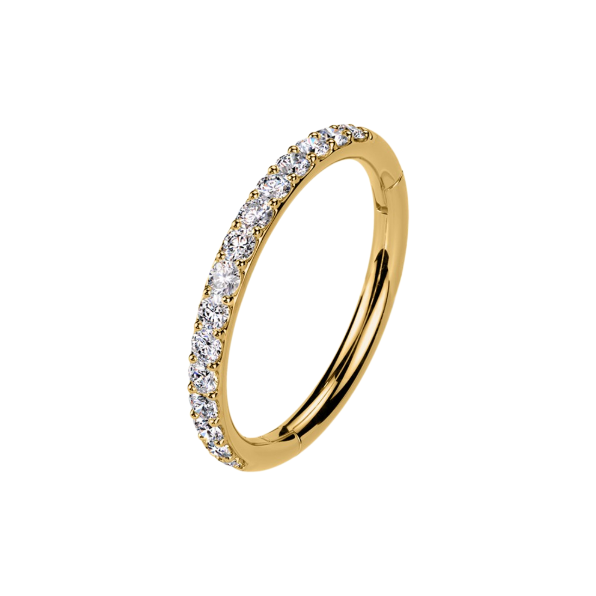 Segmentring-Clicker-Piercing-Elegance-2