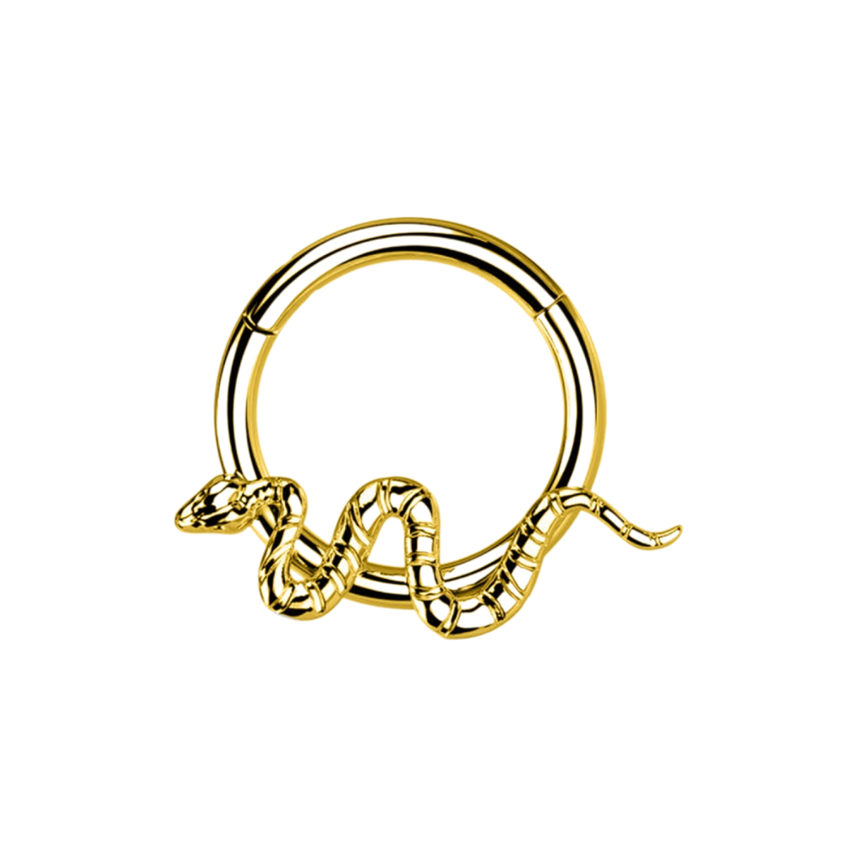Segmentring-Clicker-Piercing-Snake-1.1