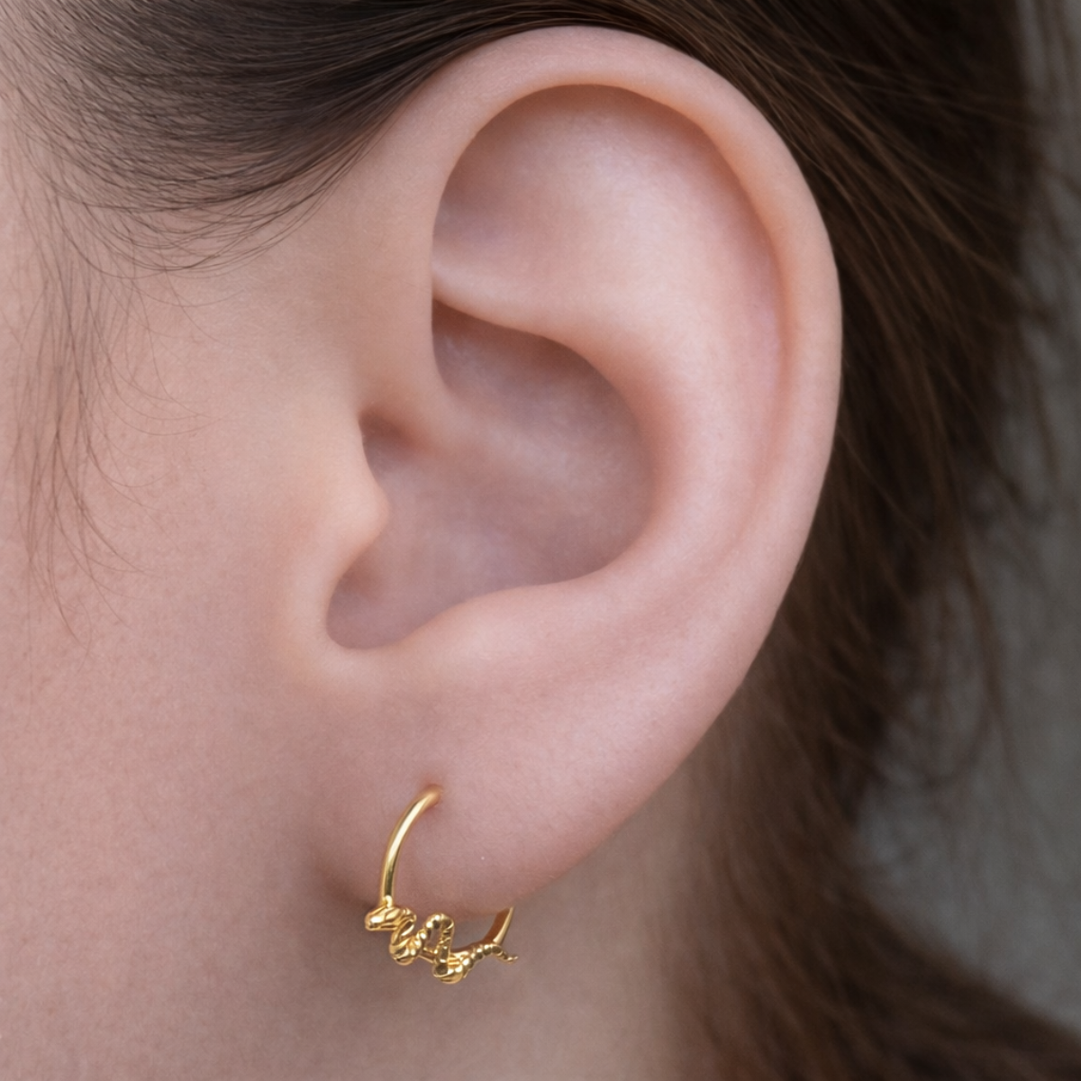 Segmentring-Clicker-Piercing-Snake-2