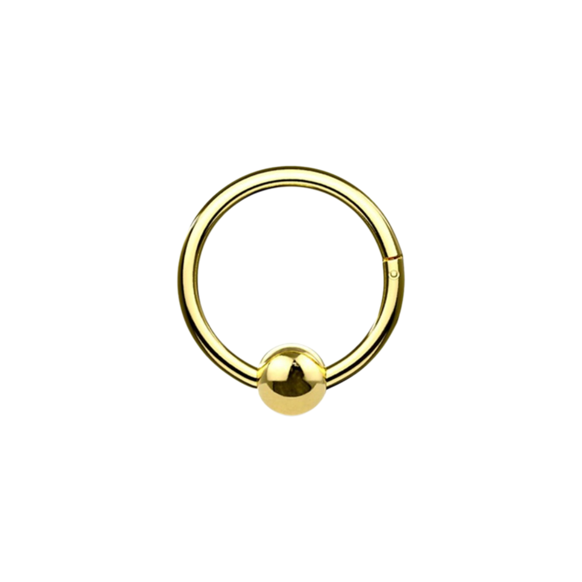 Segmentring-clicker-ring-piercing-Alessia-1.2