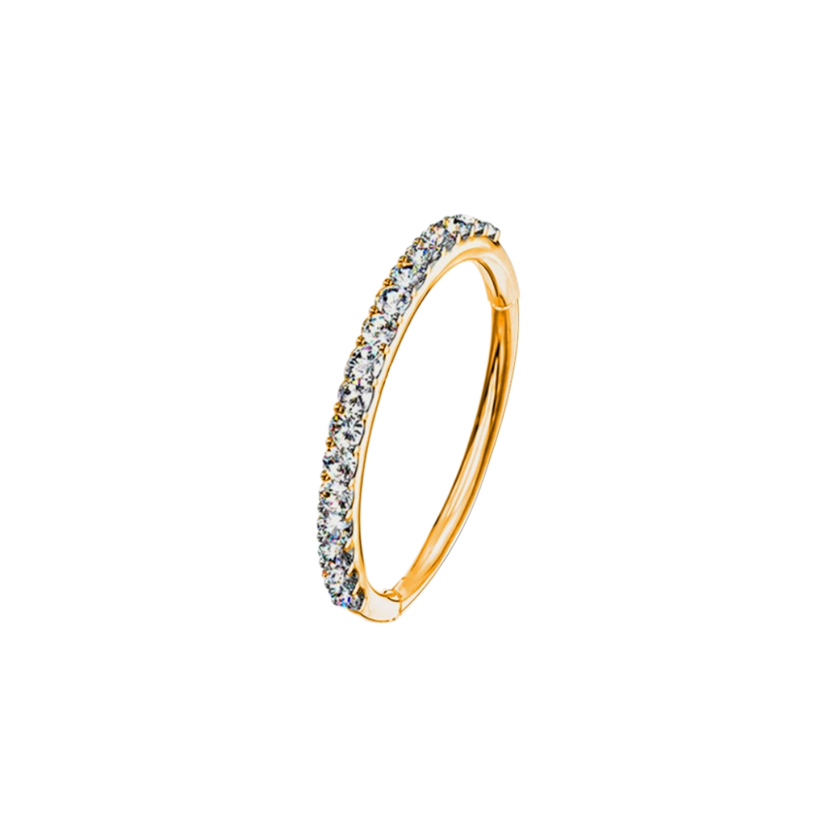 Segmentring-clicker-ring-piercing-Liora-1.2