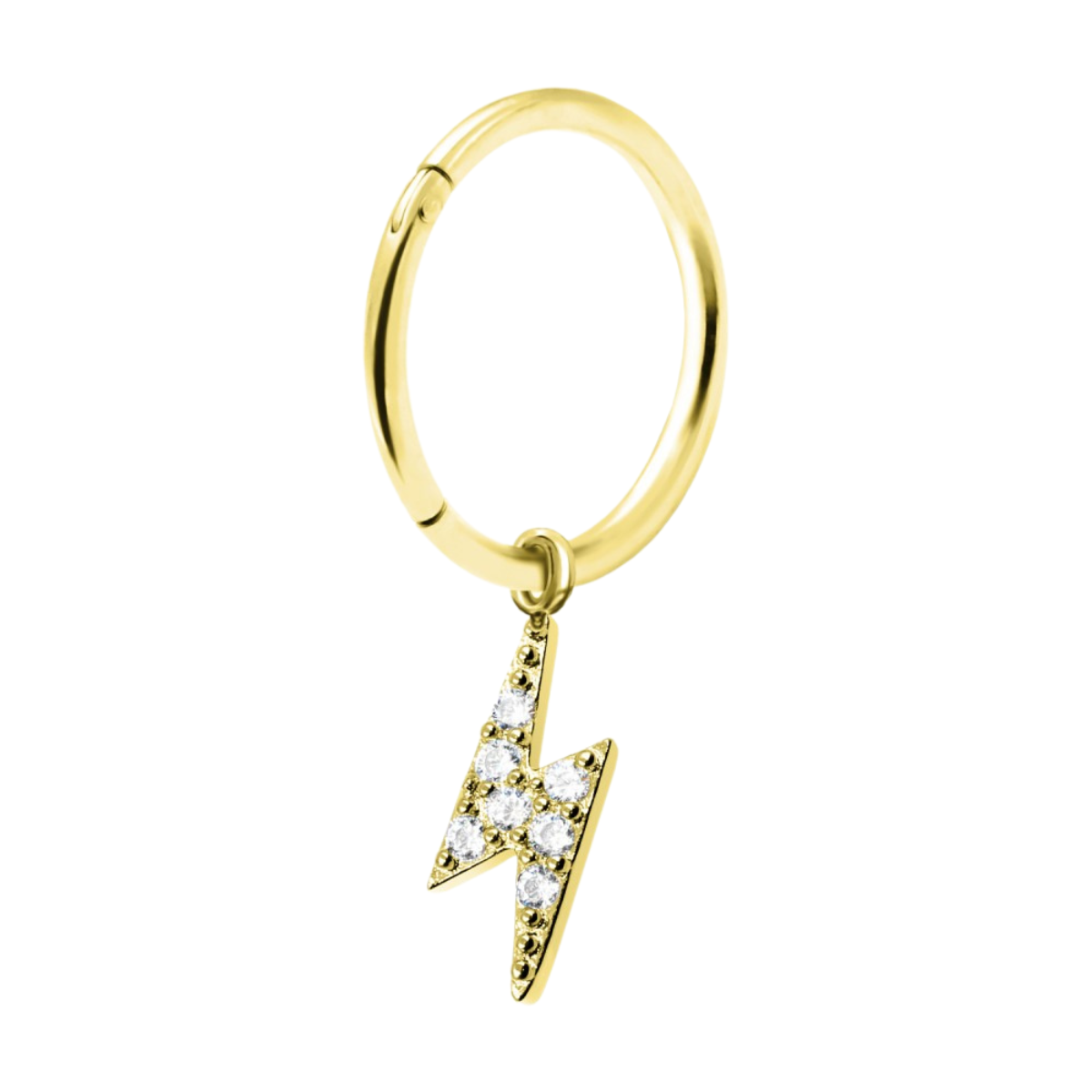 Segmentring-clicker-ring-piercing-Nika-2.2
