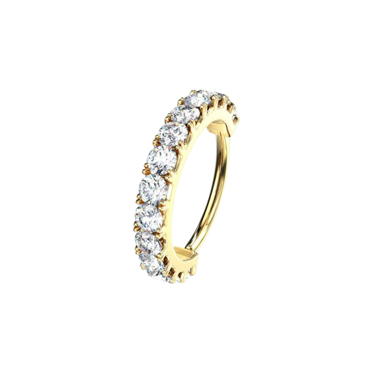 Segmentring-clicker-ring-piercing-elinora