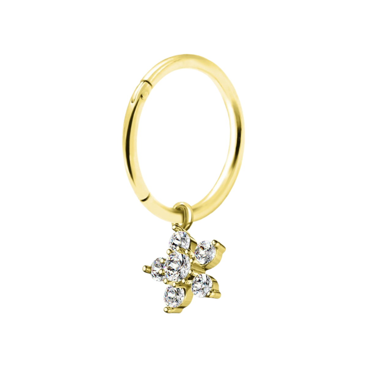 Segmentring-clicker-ring-piercing-mira-2