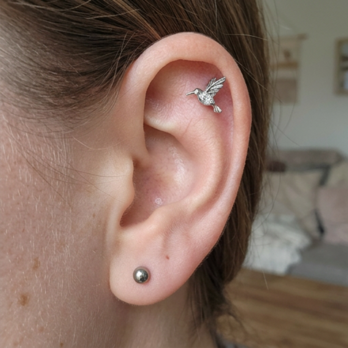 Titan-Labret-Piercing-Kolibri-2