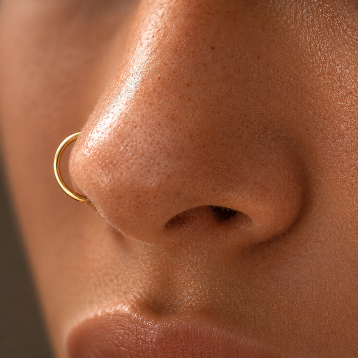 Titan-Piercing-Segment-clicker-Ring-classic-6