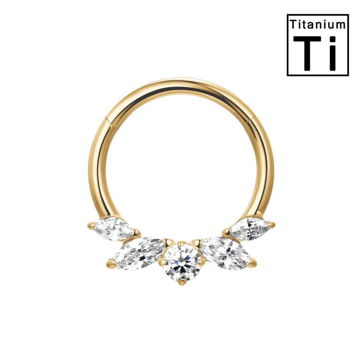 Titan-Segmentring-Clicker-Piercing-Aurora-1.1